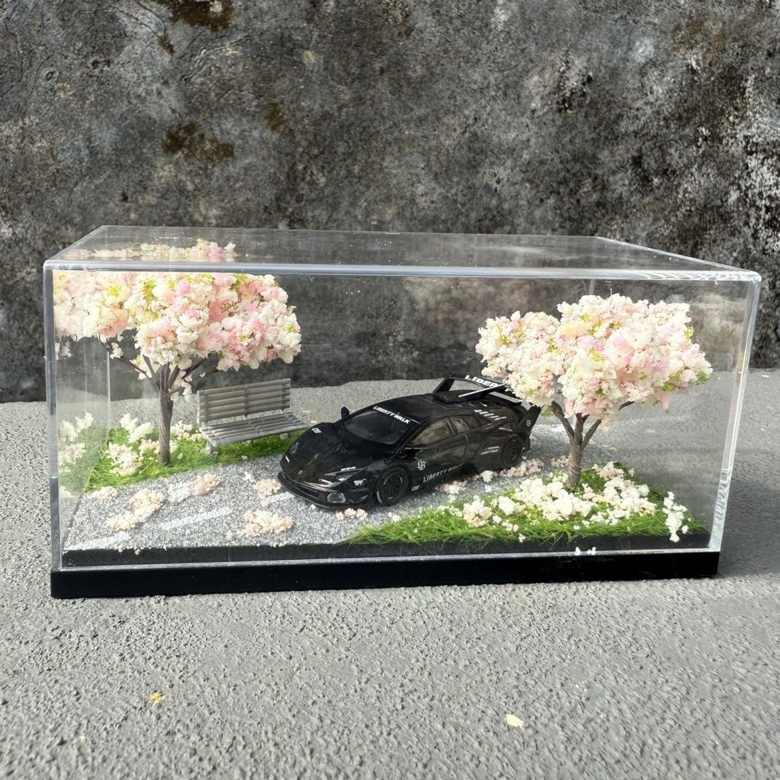 Acrylic display model