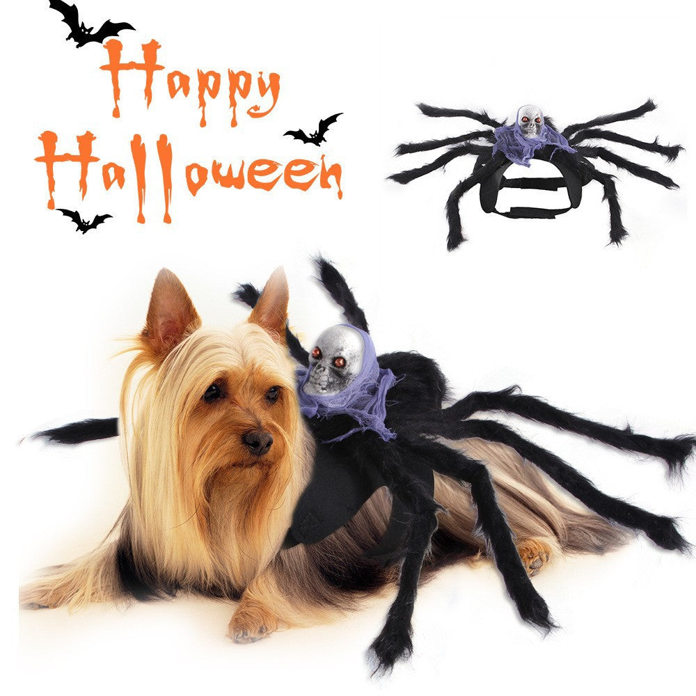 Halloween Cat and Dog Costume
