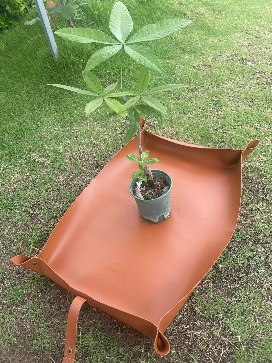 Garden Organizing Potted Plant Mat, Nursery Gardening Tray