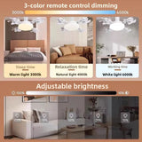 Remote Control Ceiling Fan with Light