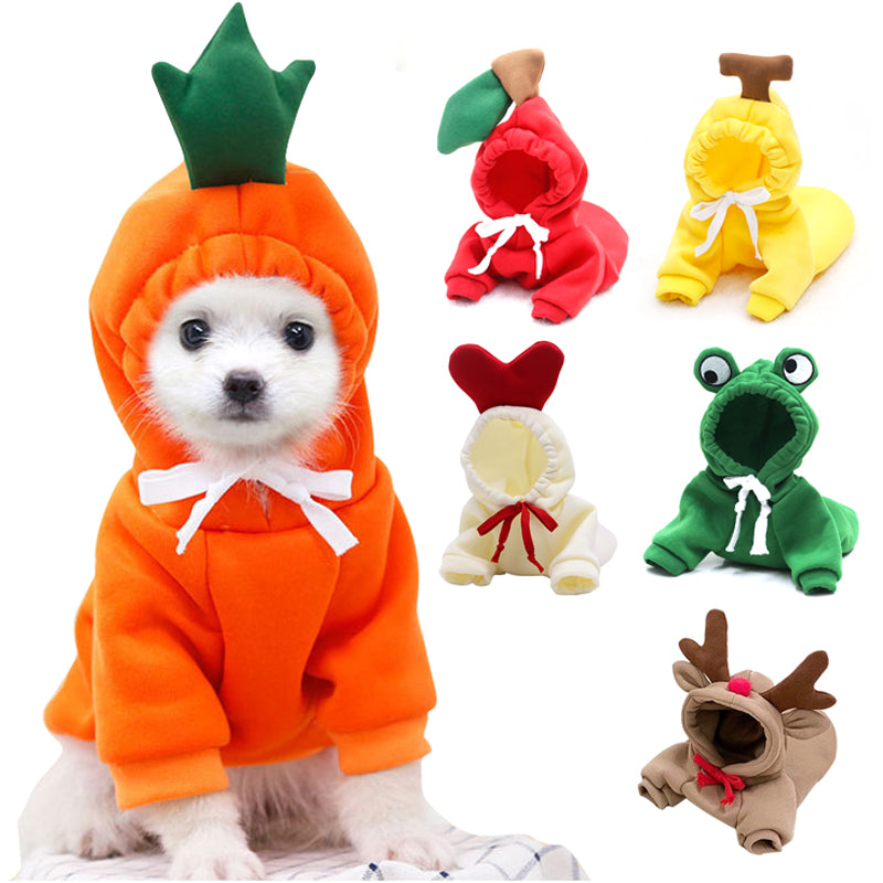 Small dog in an orange carrot hoodie, with other hoodie styles beside it