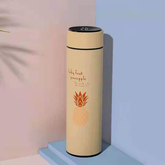 500ml Stainless Steel Vacuum Thermos Cup with Smart Temperature Display and Tea Infuser