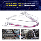 Timing Belt Cover