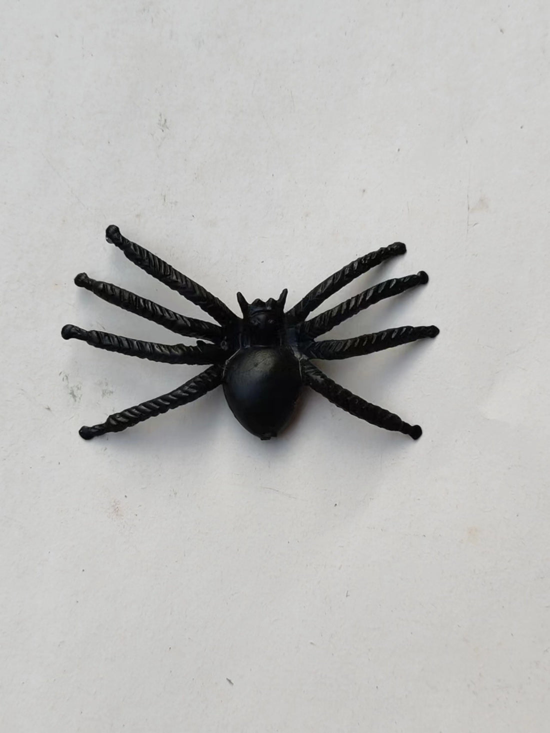 Realistic Simulation Spider Toy
