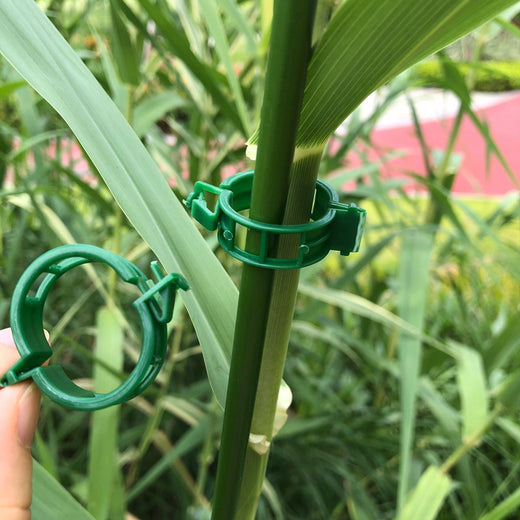 Vine Fixing Clip for Plant Support