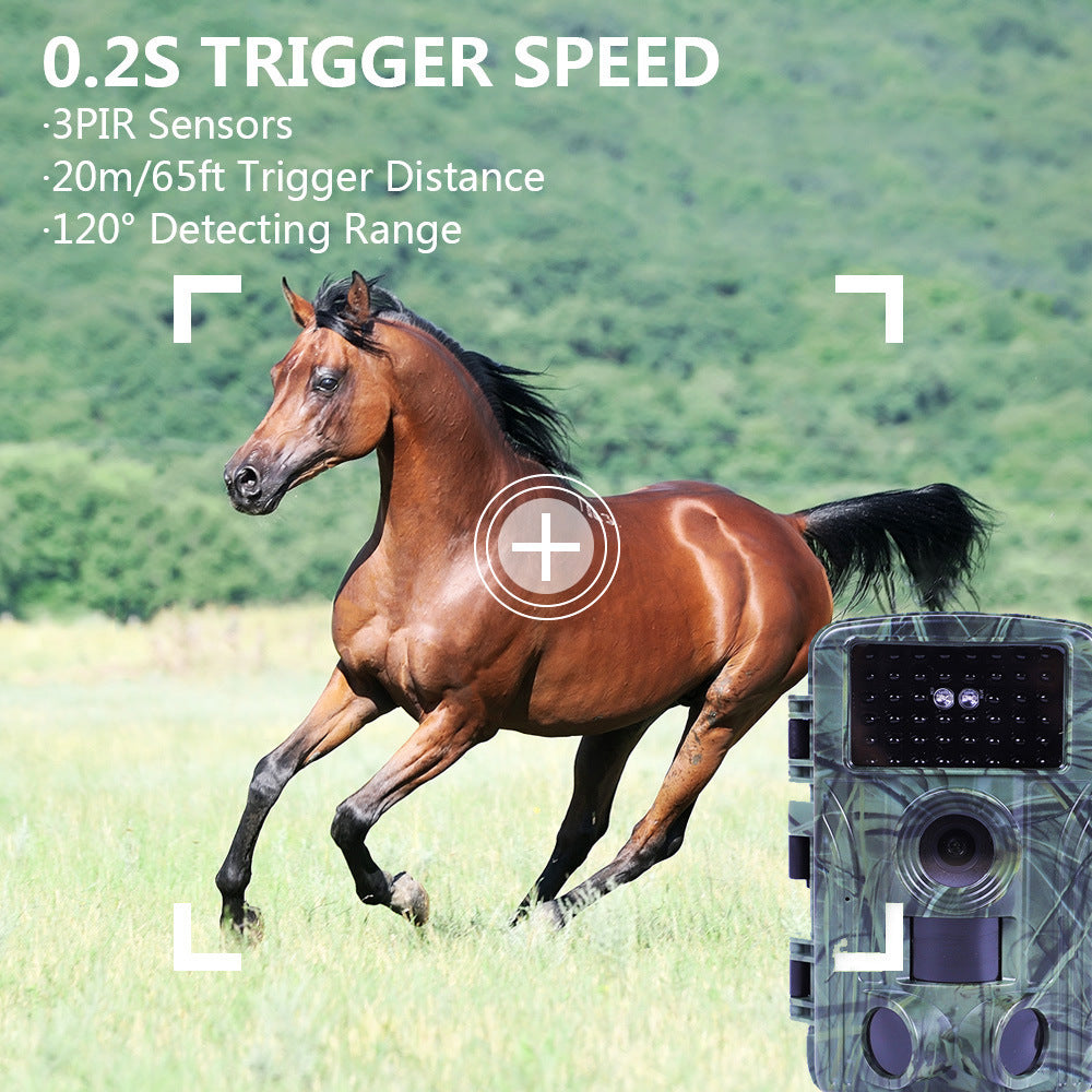 Outdoor hunting camera