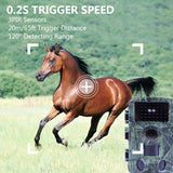 Outdoor hunting camera
