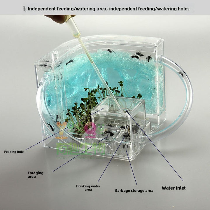 ant habitat toy