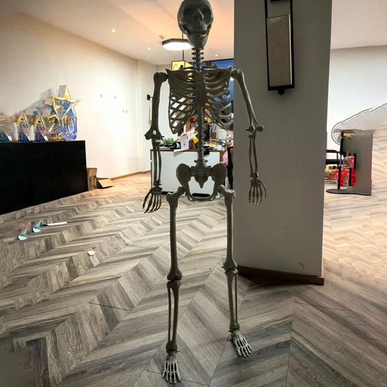 Halloween Skeleton Skeleton