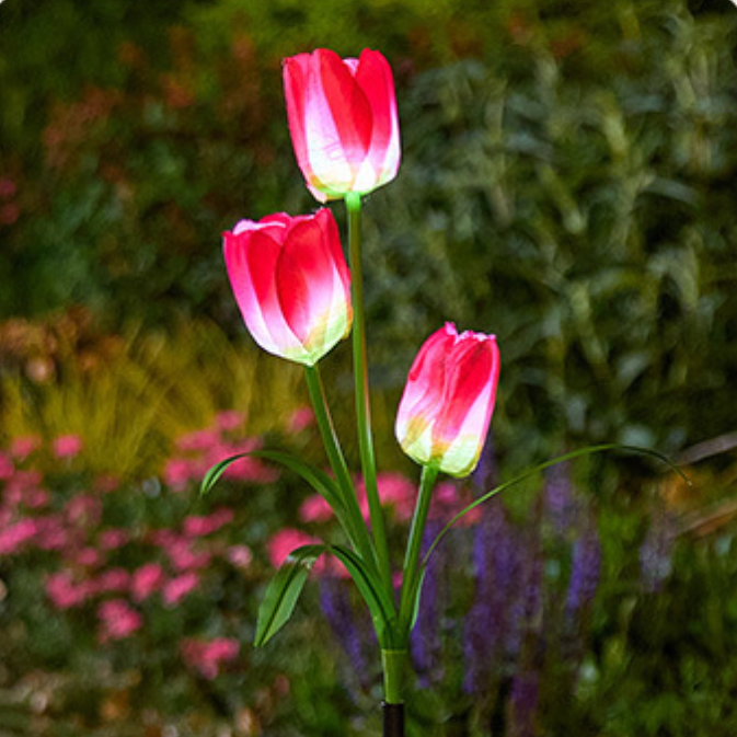 LED Solar Powered Tulip Garden Lights Outdoor Decorative Lighting