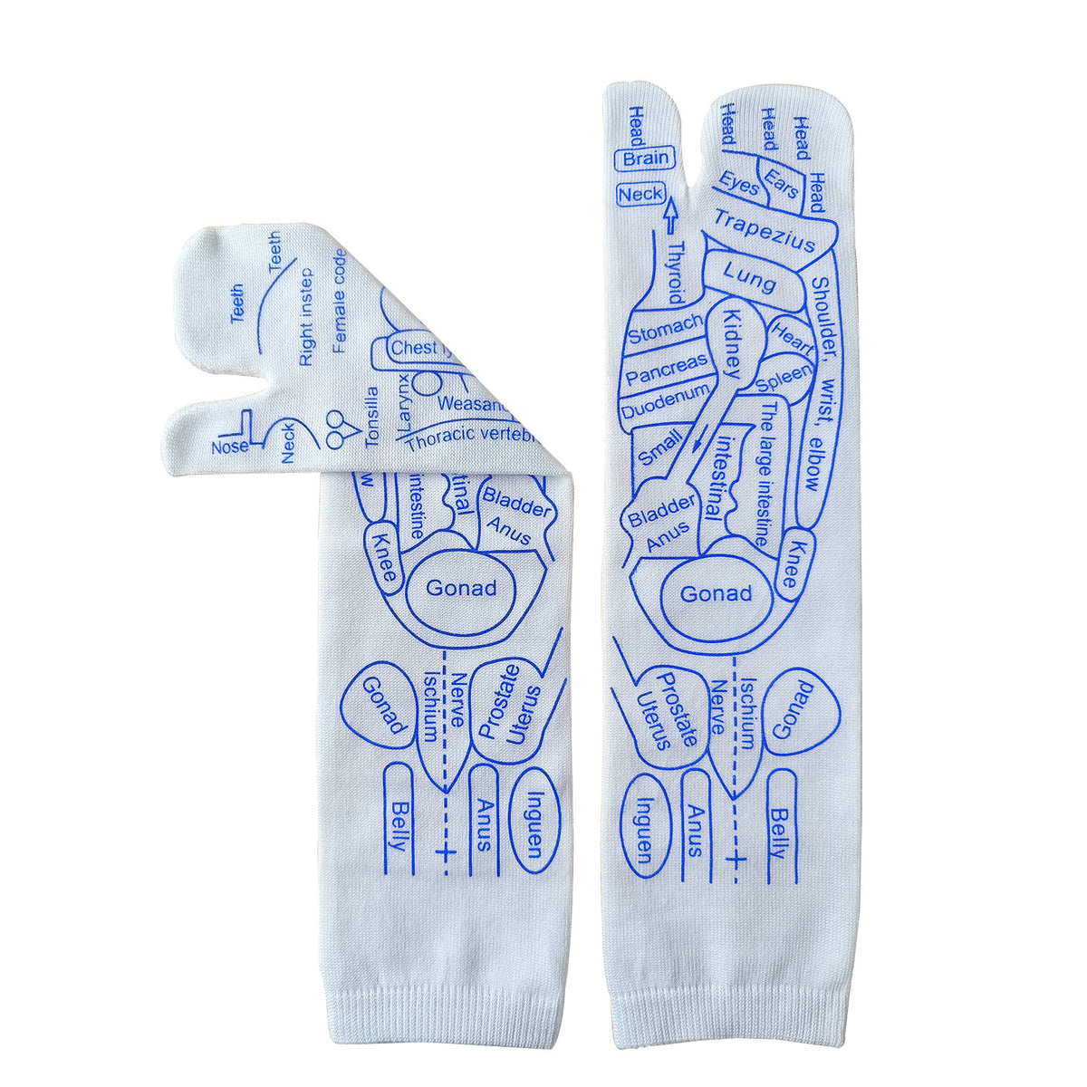 Foot Acupoint Massage Socks with Meridian Illustration