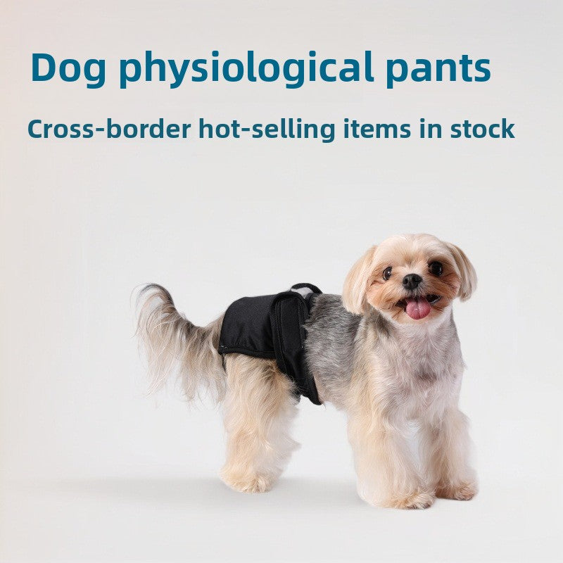 Dog physiological pants