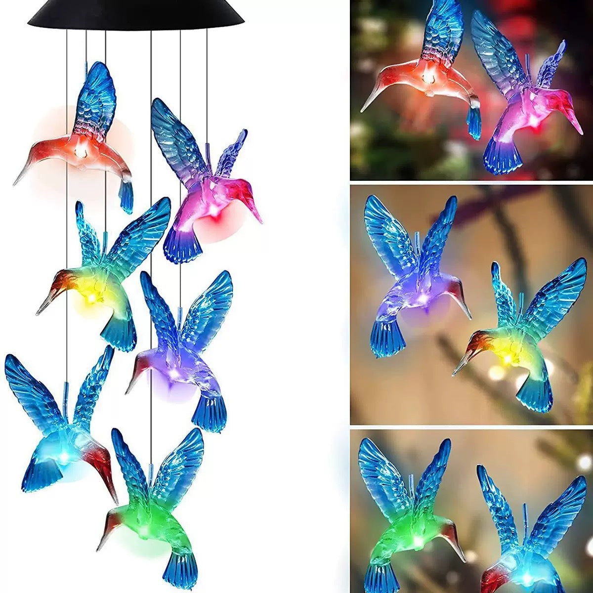 Solar Powered Outdoor Decorative Light