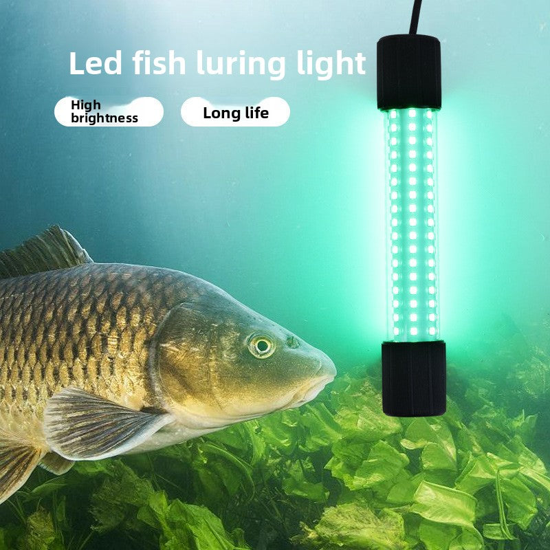 12V LED Fish Luring Light