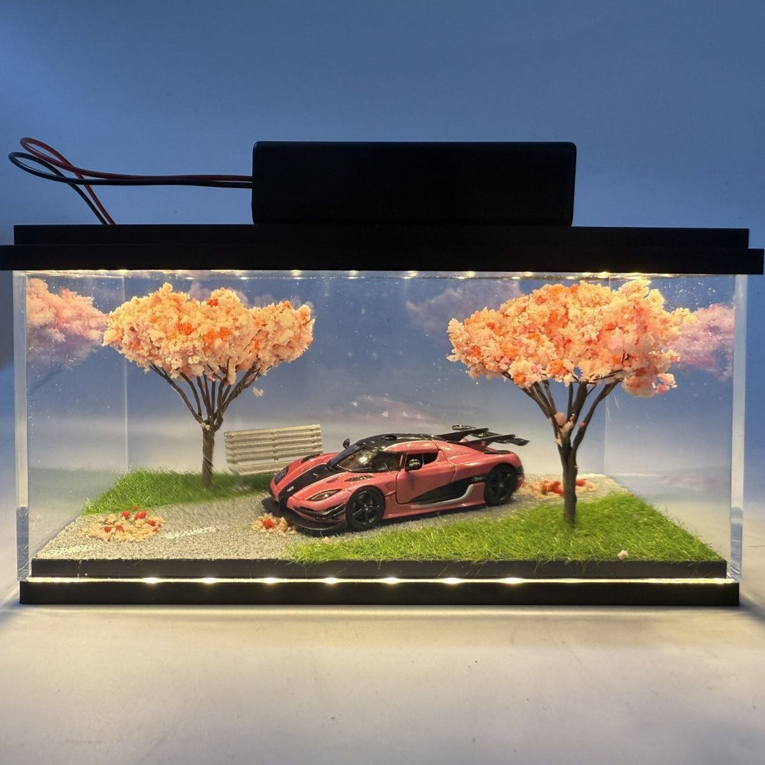 Acrylic display model
