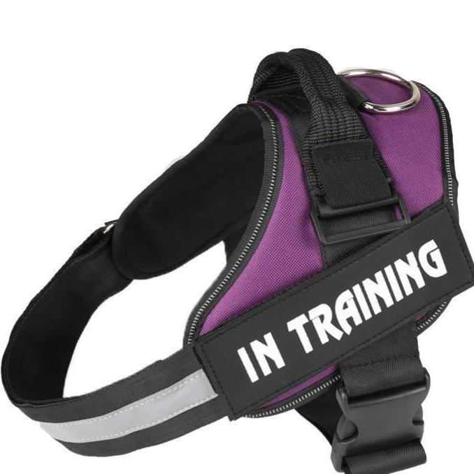 Pet chest and back reflective strip