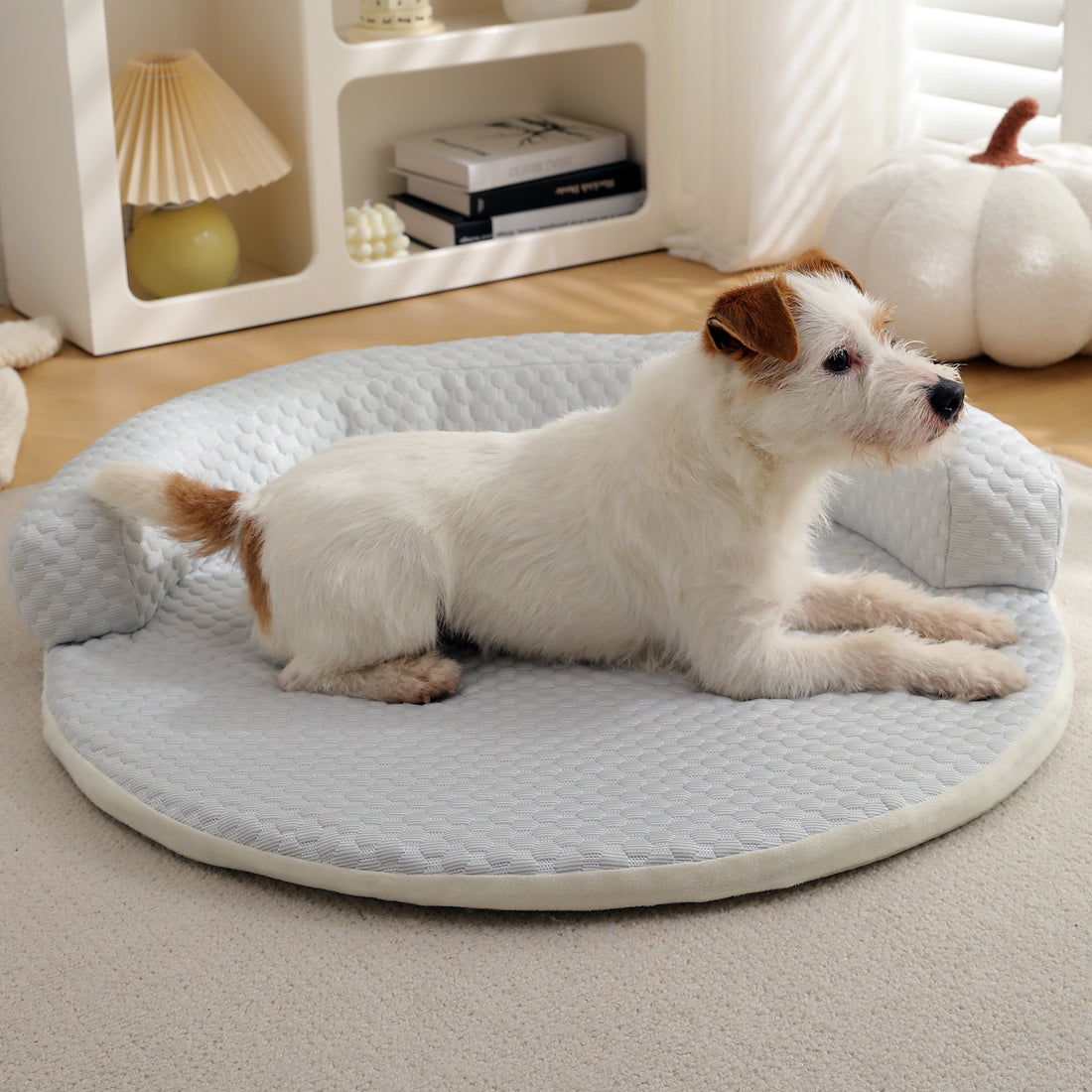 Round Cooling Ice Bean Pet Mat