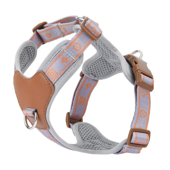 Dog leash for everyday walks, photo 5