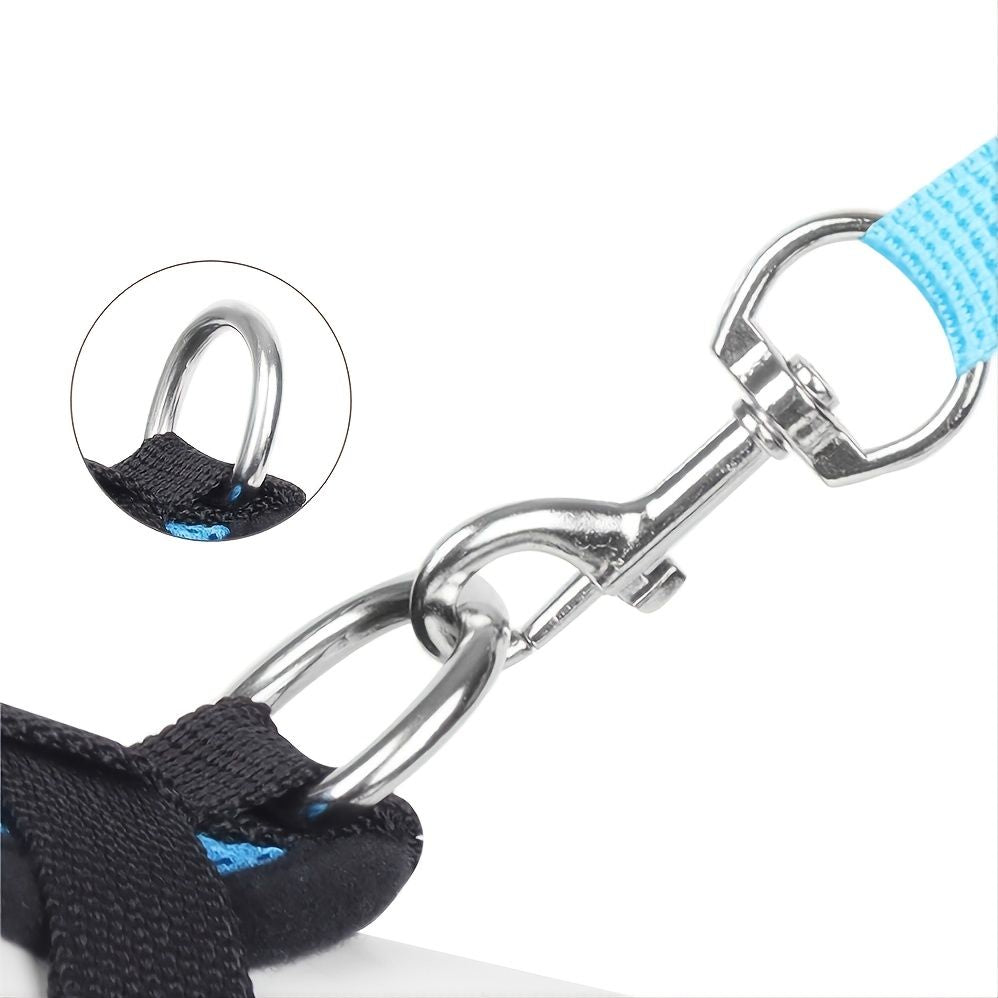No pull dog harness leash D-ring detail