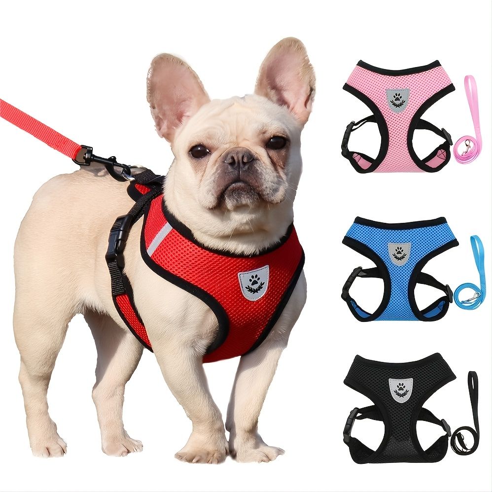 Reflective no pull dog harness in Black on a small dog
