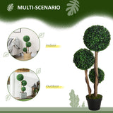 Boxwood topiary shown in an entryway setting