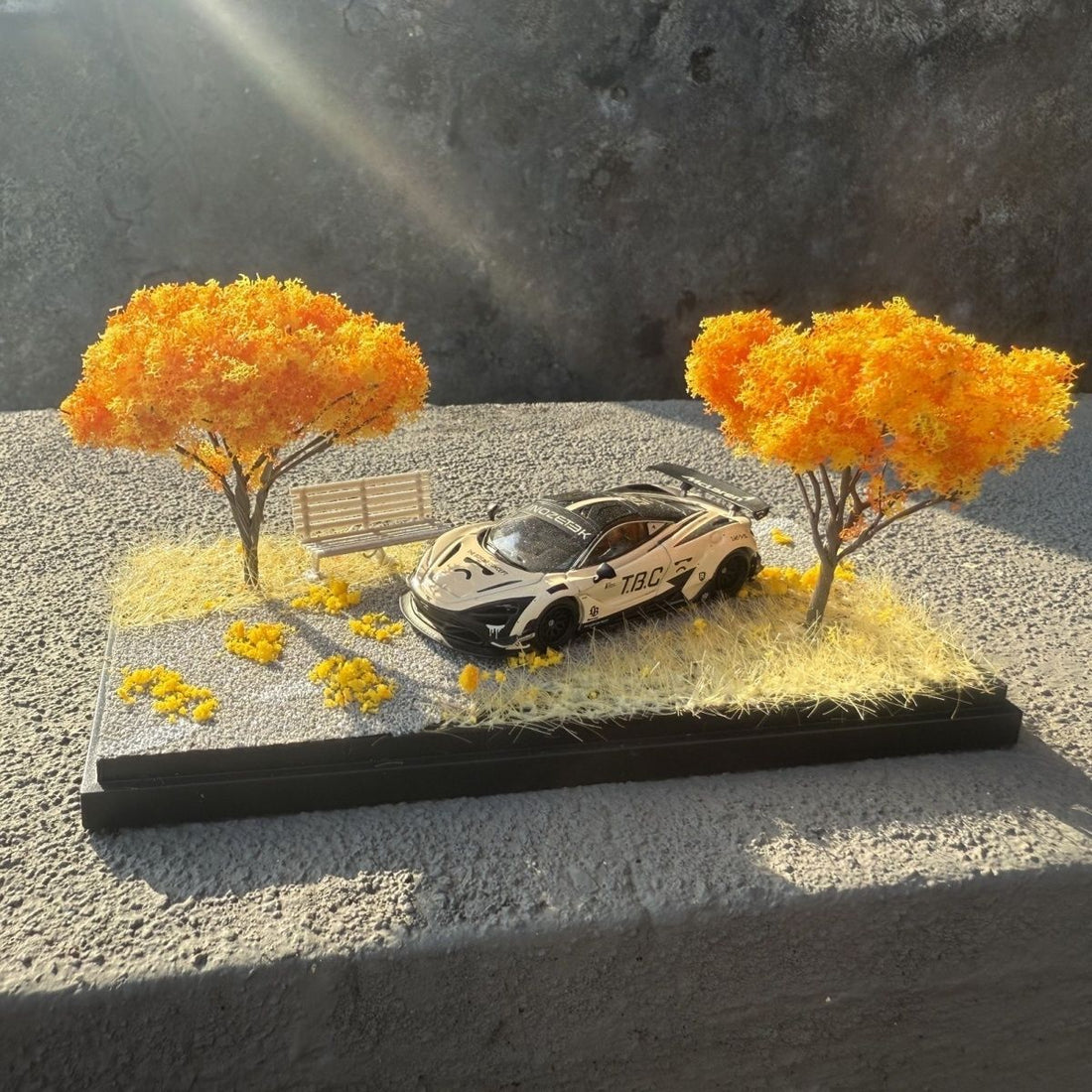 Autumn Scene Display Box Model