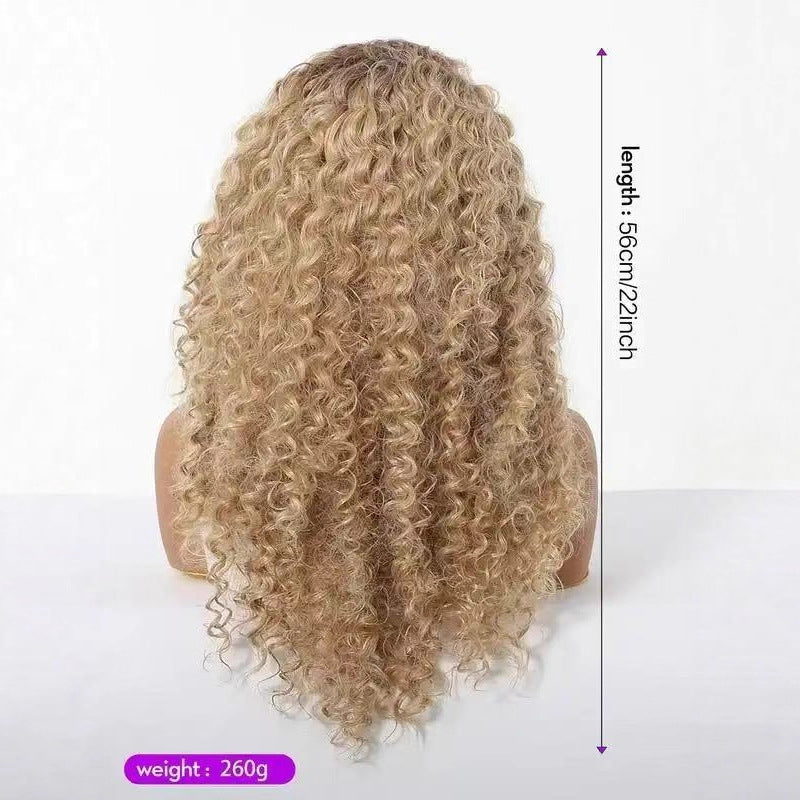 Long small curly lace front wig with middle part, photo 4