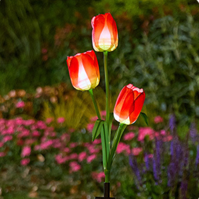 LED Solar Powered Tulip Garden Lights Outdoor Decorative Lighting