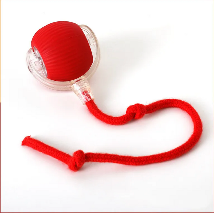 Self-Rolling Cat Toy - Image 18