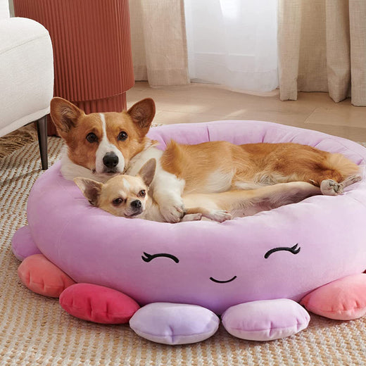 Bed shown in the shark-themed design variant