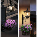 Solar Garden Light