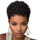 Short Curly Synthetic Hair Wig
