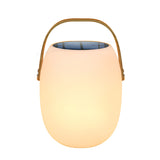 Solar Powered Portable Garden Lighting