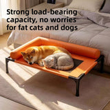 Pet camping cot
