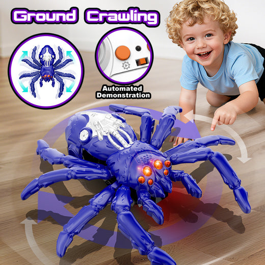 Remote Control Wall Climbing Spider Toy