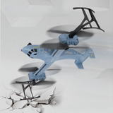telecontrolled aircraft