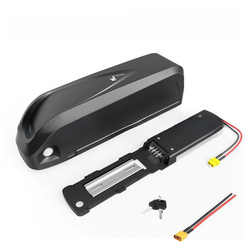 Hailong Lithium Battery for Electric Bike Conversion