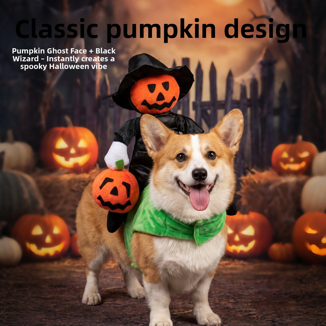 Halloween Pumpkin Knight Pet Costume