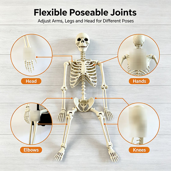 Halloween Skeleton Skeleton