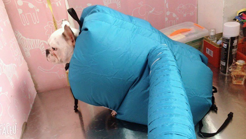 Pet drying box folded flat for storage