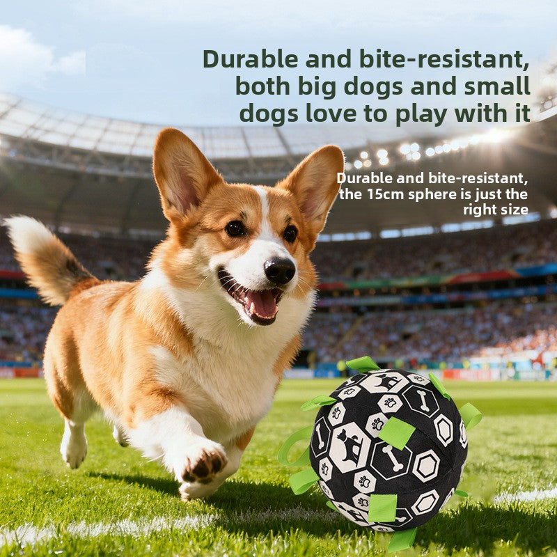 Interactive Durable Football