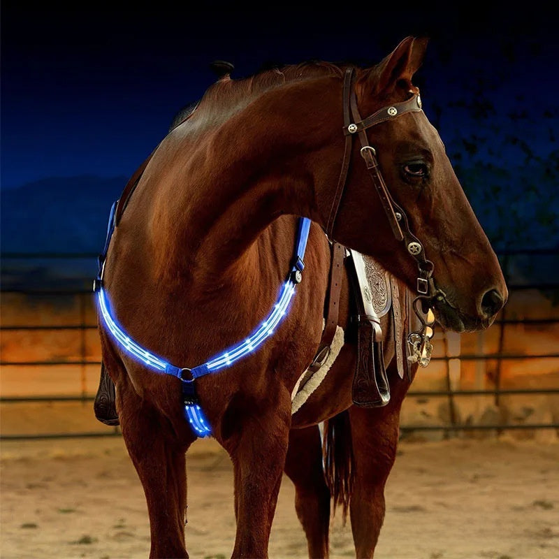 LED Light Up Adjustable Horse Chest Strap Rechargeable Nylon Safety Equestrian Gear with Flashing Modes