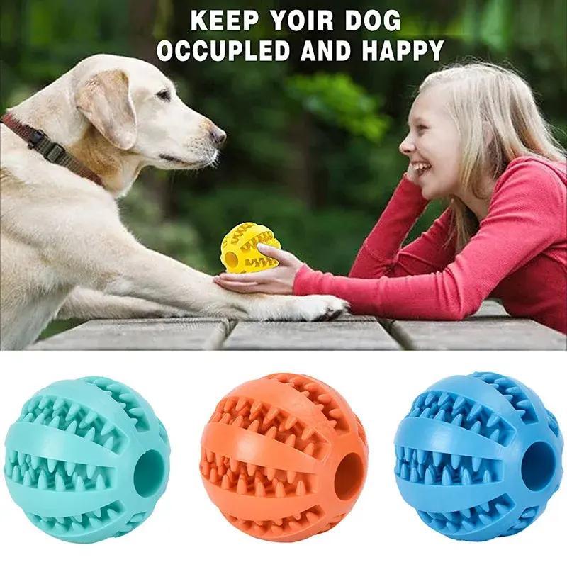 Woman playing with a dog and a ball, with teal, orange and blue treat balls