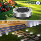 Solar Powered LED Garden Light with Stainless Steel Body