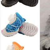Pet dog shoes