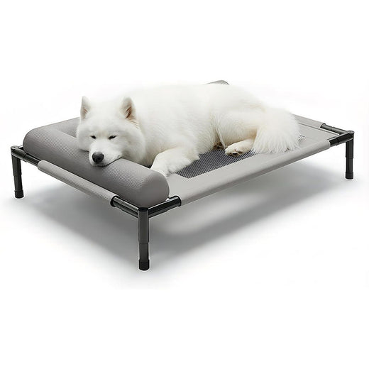 Medium To Large Dog Beds And Pet Beds