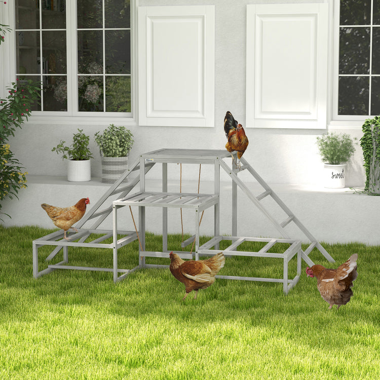 Chicken roost swing set, full assembled view