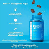 Ashwagandha Supplement Gummies
