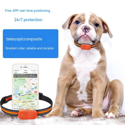 All-Weather Pet Locator