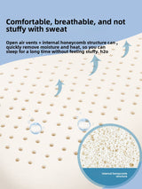 Natural Latex Lumbar Support Pillow